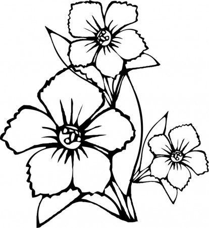 pretty flowers coloring page | Printable flower coloring pages ...