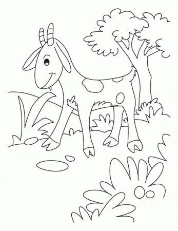 Free Cute Goat Coloring Pages