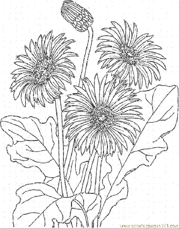 Coloring Pages Daisy 3 (Natural World > Flowers) - free printable 