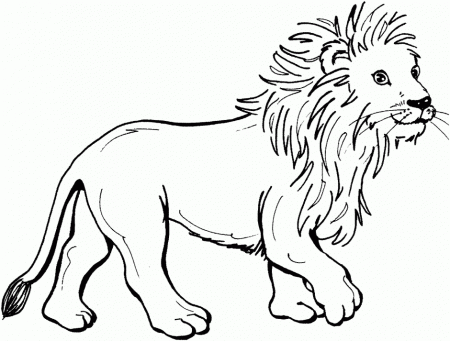 Coloring To Print Animals Carnivorous Animals Lion Number 86356 