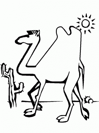 Camel Coloring Pages