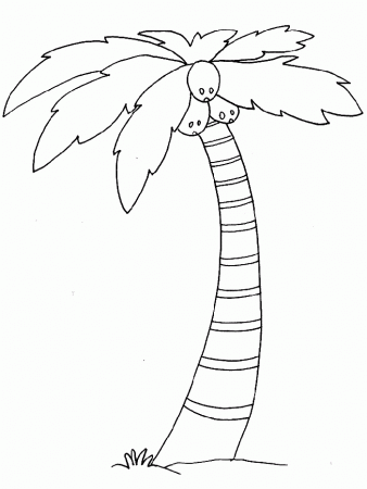 The Word Free Palm Tree Coloring Page This Free Nature Coloring 