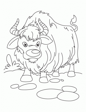Growling yak coloring pages | Download Free Growling yak coloring 