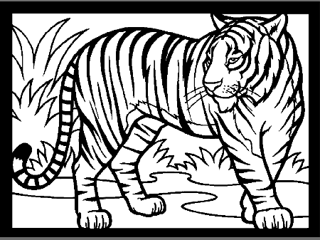 Printable Tigers Tiger12 Animals Coloring Pages - Coloringpagebook.com