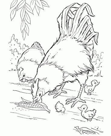 Farm Animal Coloring Pages | Printable Chickens Coloring Page Corn 