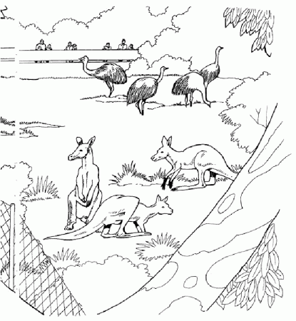 Zoo Animal | Free Printable Coloring Pages – Coloringpagesfun.com