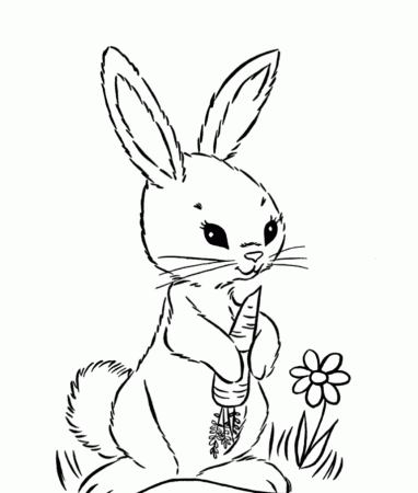 Download Adorable Rabbit Color Pages To Print Or Print Adorable 