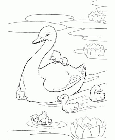 Baby Animals Coloring Pages To Kids