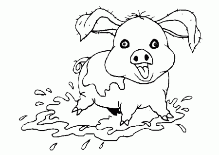 pig face coloring page : Printable Coloring Sheet ~ Anbu Coloring 