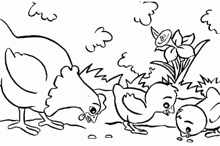 Chickens - 999 Coloring Pages