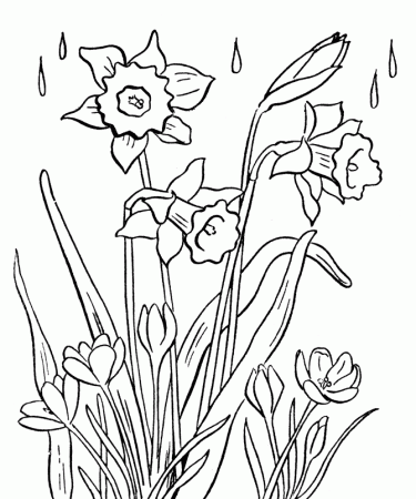 easter coloring pages rabbit kids cute