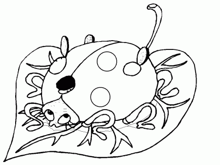 Ladybugs 10 Animals Coloring Pages & Coloring Book
