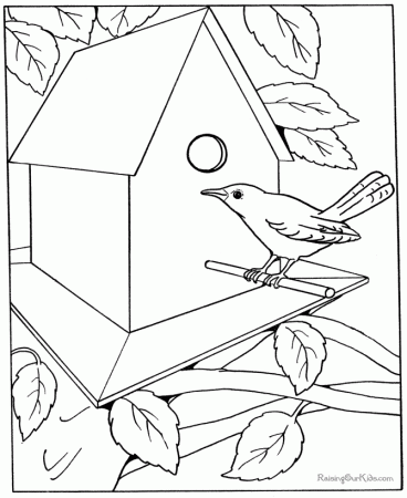 nt cartoon Colouring Pages