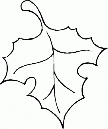 leaf outline - Quoteko.com