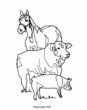 Horse, Cow, Pig - Free Coloring Pages for Kids - Printable 