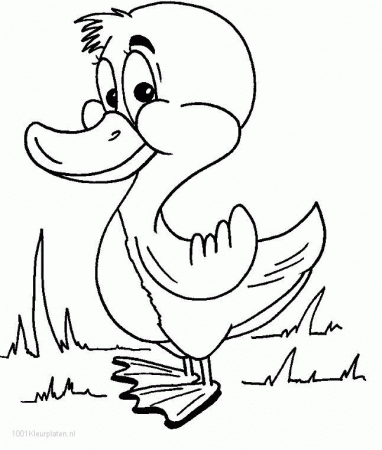 Baby Ducks Coloring Pages Pictures