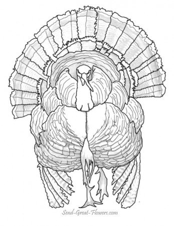 Printable Thanksgiving Coloring Pages With Full Color Guides