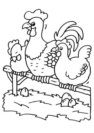 Coloring page rooster and hens - img 6783.