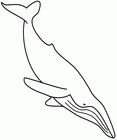 Humpback Whale - Coloring Page (