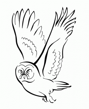 Bird : Two Kids Birds Coloring Pages, Three Birds Sparrow Coloring 