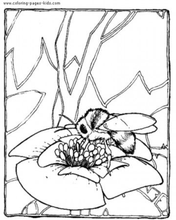 Bee Coloring Pages | Coloring Pages