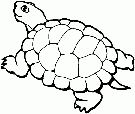 turtle coloring pages for kids | coloring pages
