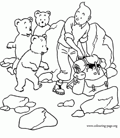 The Adventures of Tintin - Tintin and a family of bears coloring page