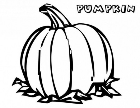 Blank Pumpkin Coloring Page Printable Coloring Pages For Kids 