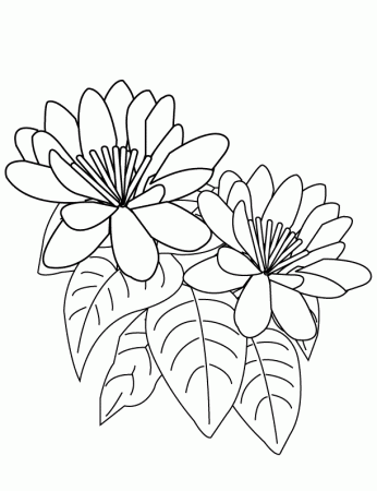 Coloring Pages - Flower4