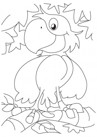 A cute happy parrot coloring page | Download Free A cute happy 