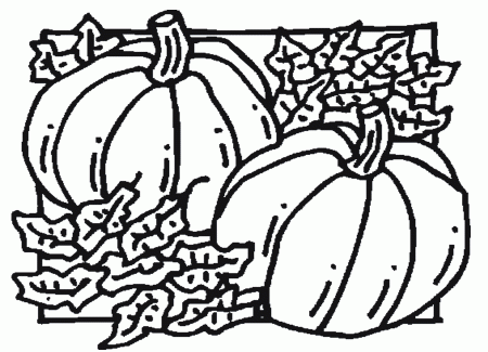 pumpkin coloring sheets google images search engine