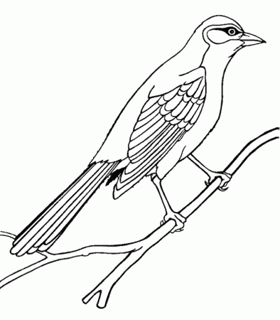mocking bird Colouring Pages (page 3)