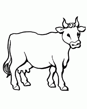 Coloring Page - Cow coloring pages 24