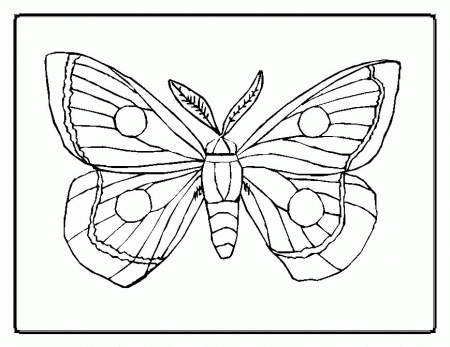 the very hungry caterpillar coloring pages : Printable Coloring 