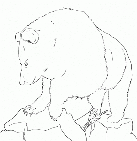 Grizzly Bear Coloring Pages Free | 99coloring.com