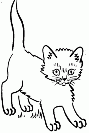 kitten colring pages Colouring Pages (page 3)