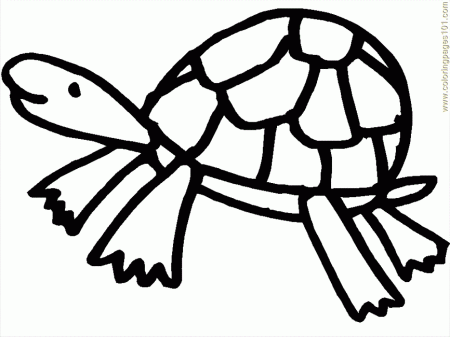 Coloring Pages Turtle Coloring Pages 09 (Reptile > Turtle) - free 