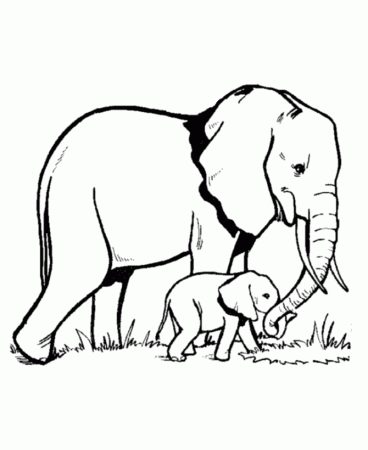 Baby Elephant Coloring Pages - Free Printable Coloring Pages 