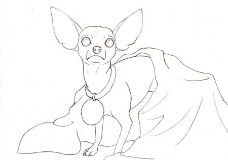 Print Little Chihuahua Dog Coloring Pages Or Download Little 