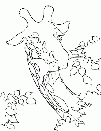 Giraffe Coloring Pages - Coloringpages1001.