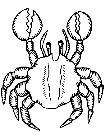 Crab Coloring Pages - Coloringpages1001.