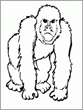 Gorilla Coloring Pages Printable | 99coloring.com