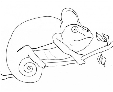 Viewing Gallery For King Cobra Coloring Pages Anaconda Coloring 