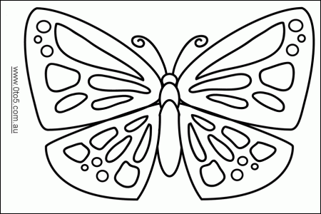 Butterfly template | spring fling