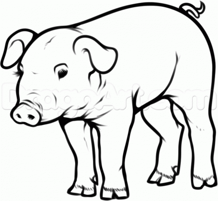 Draw a Pig, Step by Step, Drawing Sheets, Added by Dawn, January 