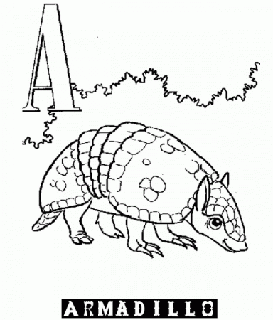 Printable Animal Alphabet Armadillo | Laptopezine.