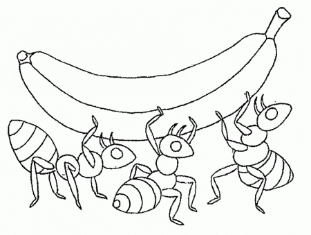 Ant Coloring Pages : Pictures Ant And Big Banana Coloring Page 