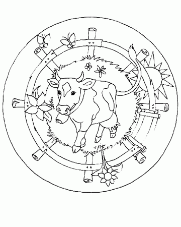 Coloring Page - Cow coloring pages 21