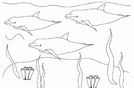 Animal Coloring Free Printable Dolphin Coloring Pages For Kids 