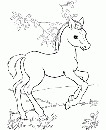 Horses To Color And Print | Disney Coloring Pages | Kids Coloring 